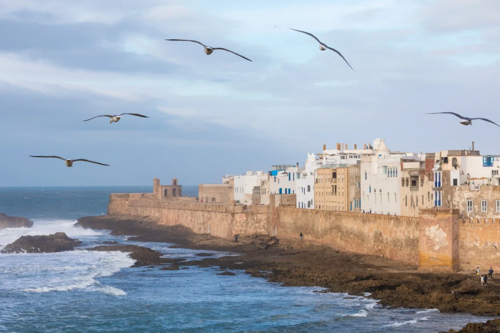 Avocat à Essaouira Maroc